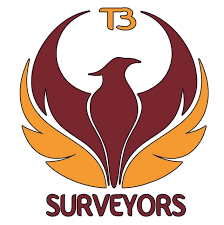 Surveyors